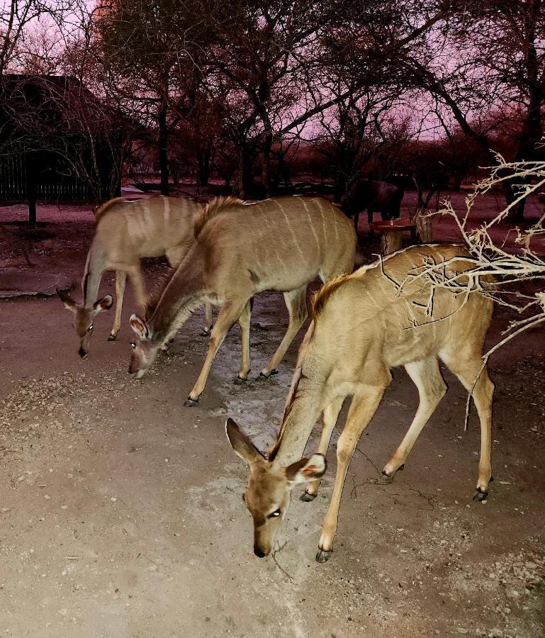 شقة Kudus Crest Bush Retreat مارلوث بارك المظهر الخارجي الصورة