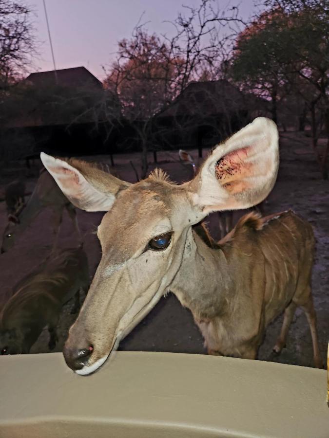شقة Kudus Crest Bush Retreat مارلوث بارك المظهر الخارجي الصورة