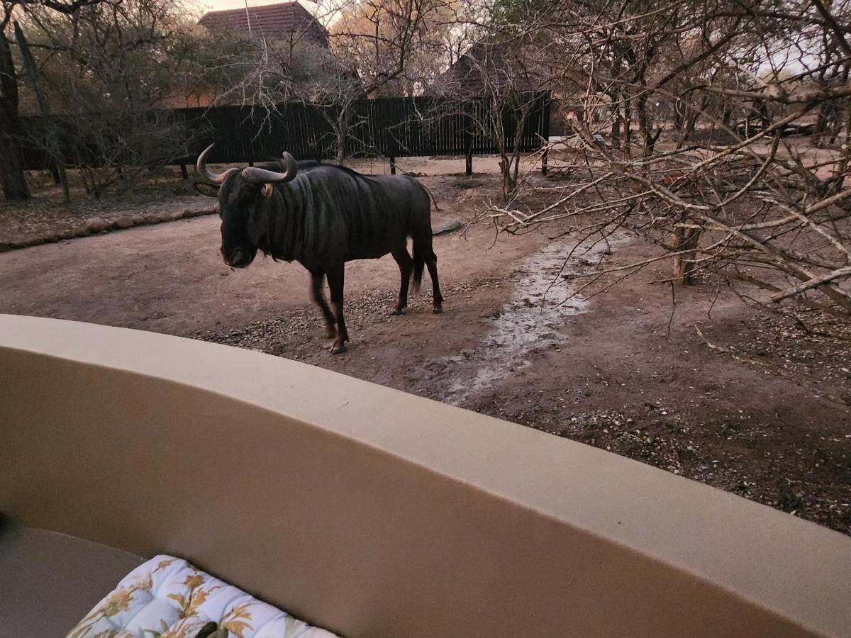 شقة Kudus Crest Bush Retreat مارلوث بارك المظهر الخارجي الصورة