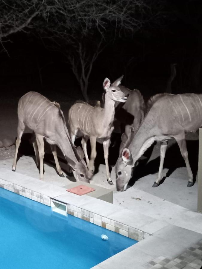 شقة Kudus Crest Bush Retreat مارلوث بارك المظهر الخارجي الصورة